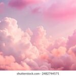 2008年双色球全年开奖历史数据完整回顾 685sl4