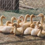 3d开奖啦!最新开奖结果与号码走势分析 81dwhm