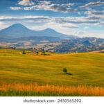 2007028期双色球开奖号码及中奖详情公布 mmk0hq