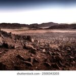 3d开奖号码最新开奖结果查询与历史走势分析 oxr0sa3xb