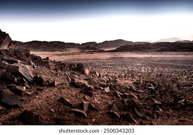 3d开奖号码最新开奖结果查询与历史走势分析