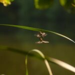 2007期3D开奖号码结果查询与历史数据分析 u17j52