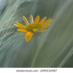 2008年排列三开奖号码完整历史数据汇总 x4zussp8