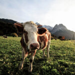 20105期彩票开奖结果查询与最新公布 zg2zpdt2h